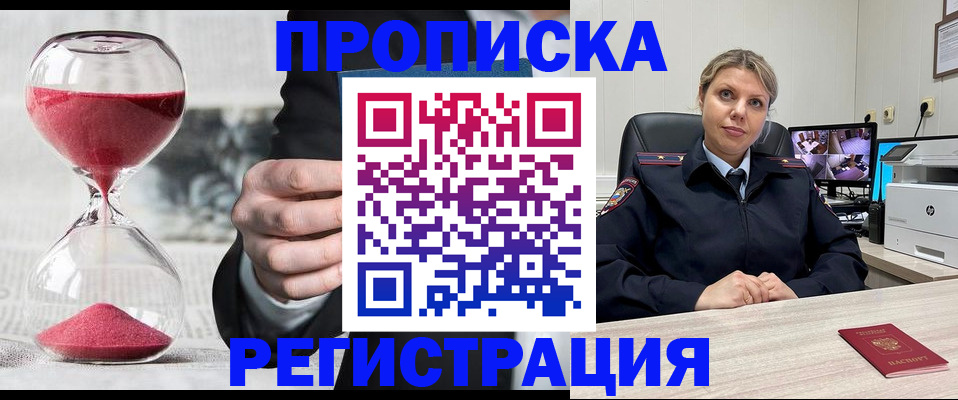 прописка поиск в Купино